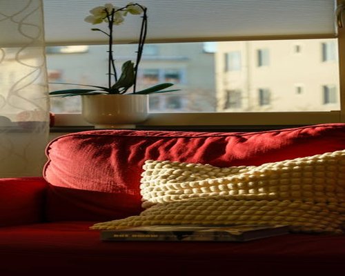 cozy well lit living room with natural sunlight